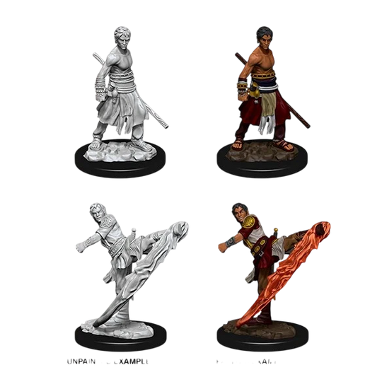 Male Half-Elf Monk (New in Box)