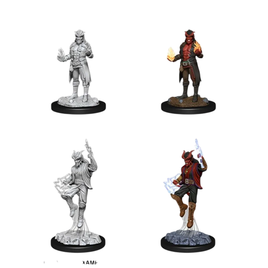 Male Tiefling Sorcerer (Custom Painted)