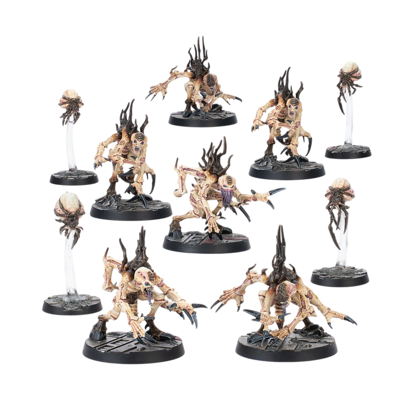 Product Image-0