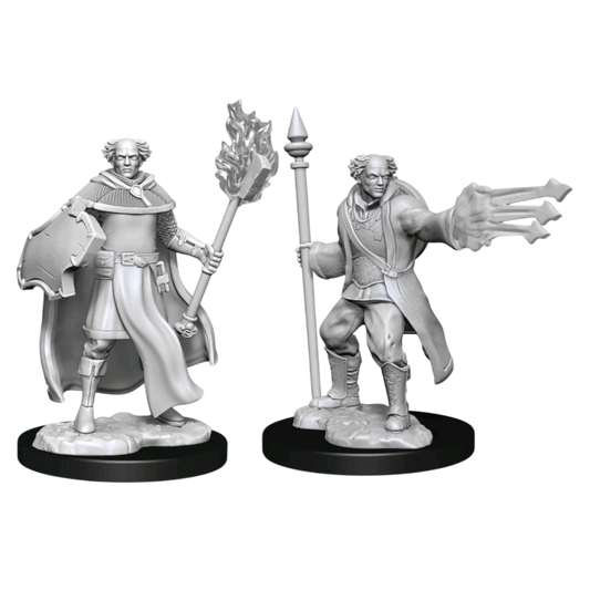 Multiclass Cleric + Wizard Male (Unpainted)