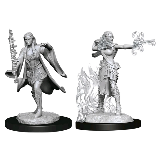 Multiclass Warlock + Sorcerer Female (New in Box)