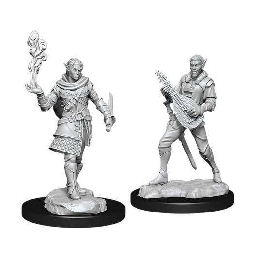 Pallid Elf Rogue and Bard Male (Custom Painted)