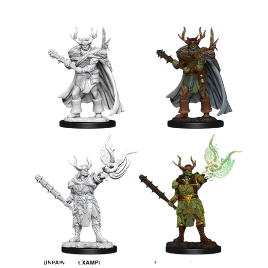Pathfinder Battles Deep Cuts: Male Half-Orc Druid (Custom Painted)