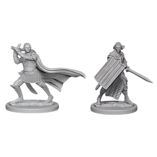 Pathfinder Battles Deep Cuts Unpainted Miniatures: Elf Male Paladin (New in Box)