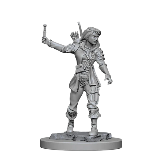 Pathfinder Battles Deep Cuts: Human Female Rogue (New in Box)