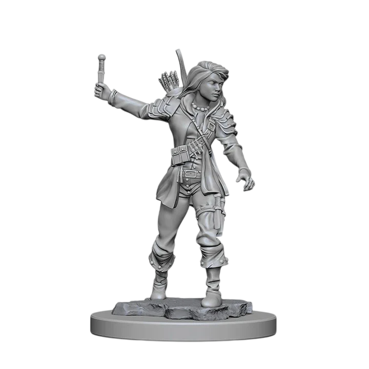 Pathfinder Deep Cuts: Human Rogue Female (Custom Painted)