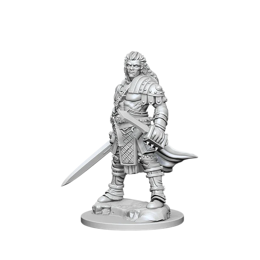 Pathfinder Battles Deep Cuts: Human Male Fighter (Custom Painted)