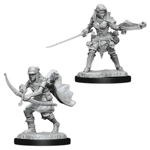 Pathfinder Battles: Premium Painted Figure: Female Half-Elf Swashbuckler (Custom Painted)