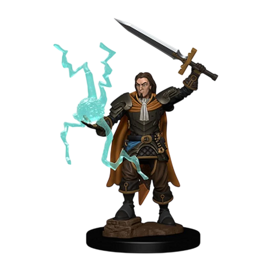 Pathfinder Battles: Premium Painted Figure: Human Cleric Male (Custom Painted)
