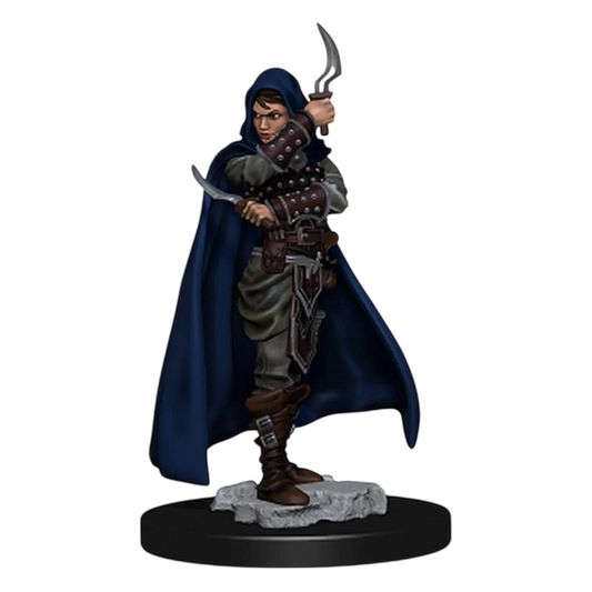 Pathfinder Battles: Premium Painted Figure: Human Rogue Female (Prepainted) (New in Box)