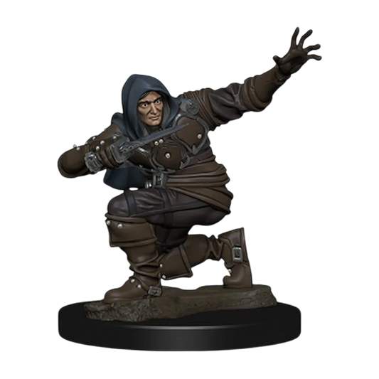 Pathfinder Battles: Premium Painted Figure: Human Rogue Male (Prepainted)