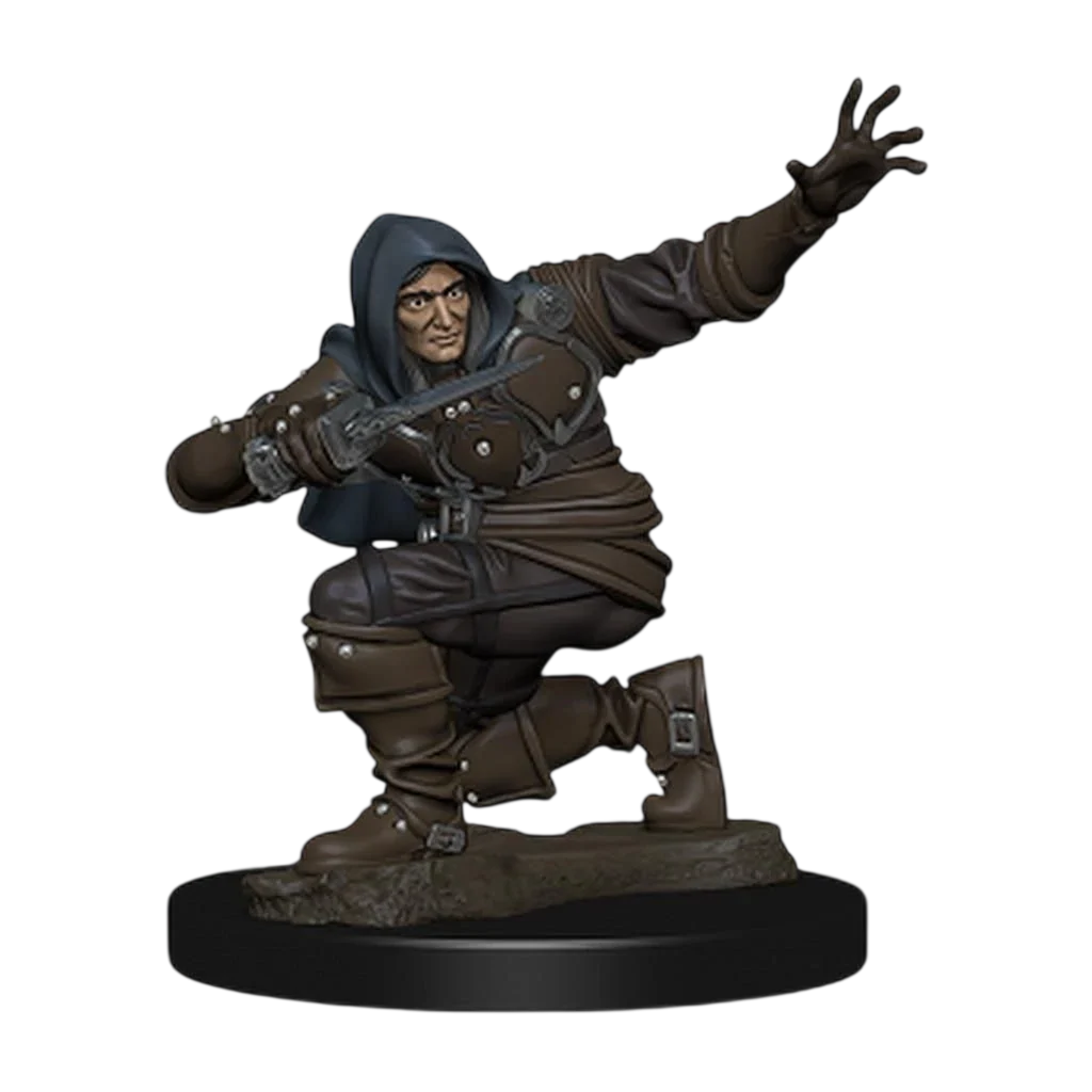 Pathfinder Battles: Premium Painted Figure: Human Rogue Male (Custom Painted)