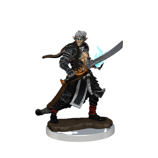 Pathfinder Battles: Premium Painted Figure: Male Elf Magus (Prepainted)