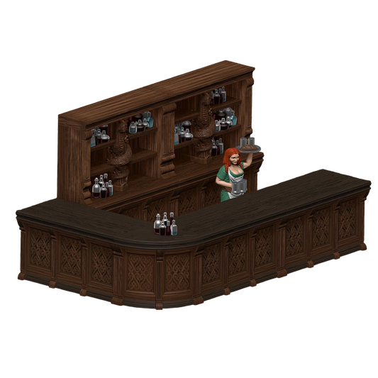 Pathfinder Battles: Rusty Dragon Inn Box Set (Custom Painted)