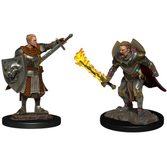 Pathfinder Deep Cuts: Human Champion Male (Custom Painted)