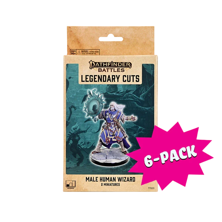 Pathfinder Legendary Cuts: Male Human Wizard ( (New in Box)