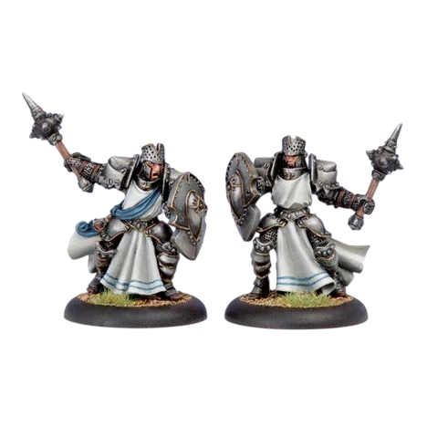 Precursor Knights Cygnar Allies Unit Box (Custom Painted) (Assembled)