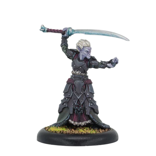 Priest of Nyssor (Custom Painted) (Assembled)