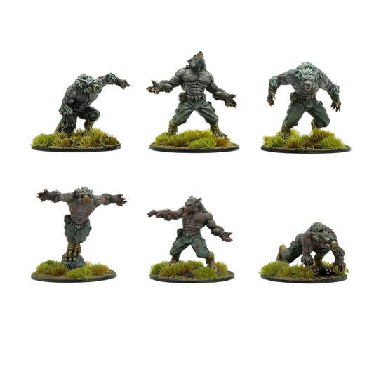 Schreckwulfen Squad (Custom Painted) (Assembled)