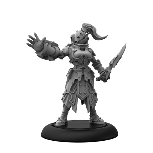 Seeker Warden Variant (Unpainted) (Assembled)