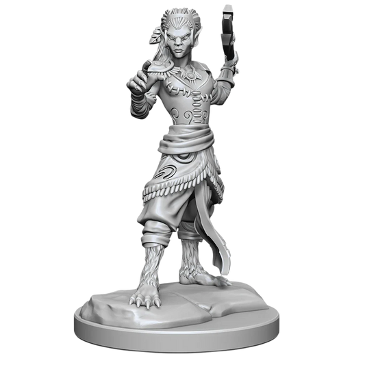 Shifter Fighter (Custom Painted)