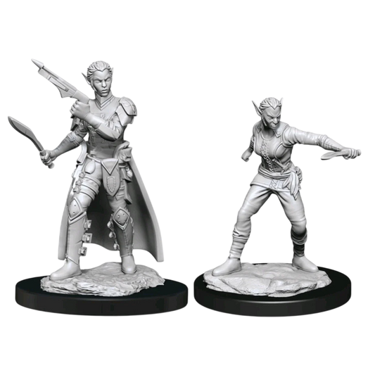 Shifter Rogue Female (Unpainted)