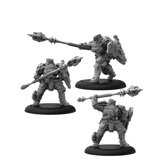 Shock Trooper Pikemen (Custom Painted) (Assembled)