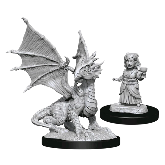 Silver Dragon Wyrmling & Female Halfling (Custom Painted)