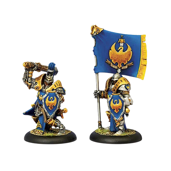 Sword Knight Officer & Standard (Custom Painted) (Assembled)