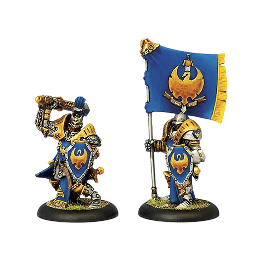 Sword Knight Officer & Standard (Custom Painted) (Assembled)