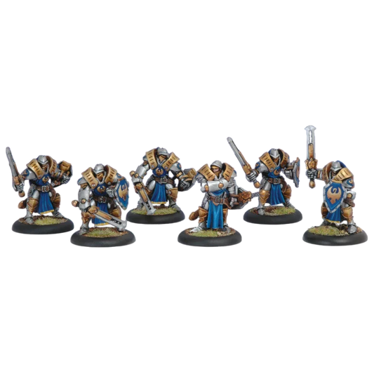 Sword Knight Unit (Unpainted) (Assembled)