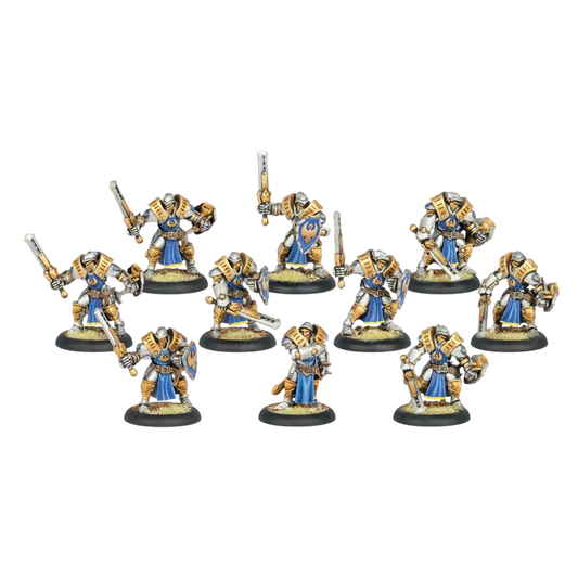 Sword Knights (Unpainted) (Assembled)