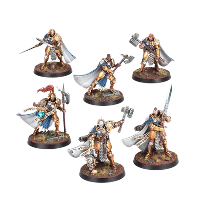 Warcry: Questor Soulsworn (Custom Painted) (Assembled)
