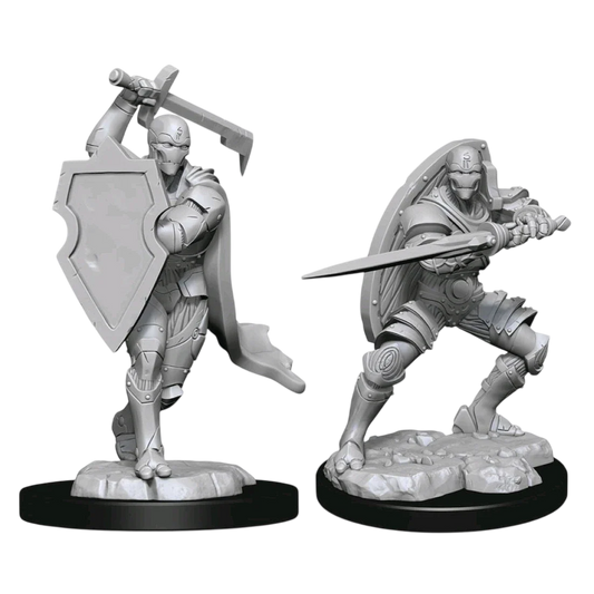 Warforged Fighter Male (Custom Painted)