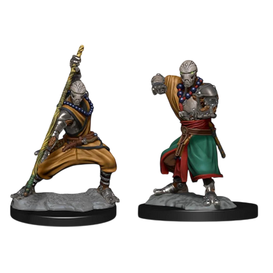 Warforged Monk (Custom Painted)