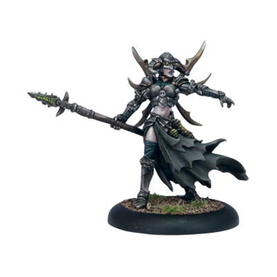 Warwitch Deneghra - 2010 Metal (Custom Painted) (Assembled)