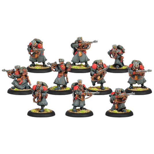 Winter Guard Rifle Corps (Custom Painted) (Assembled)