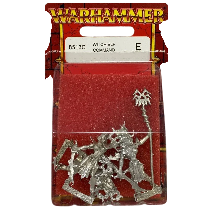 Witch Elf Command (Custom Painted) (Assembled)