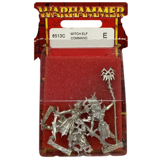Witch Elf Command (Unpainted) (Assembled)