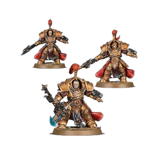 Allarus Custodians (Custom Painted) (Assembled) From Warhammer 40k on Wargame Trader