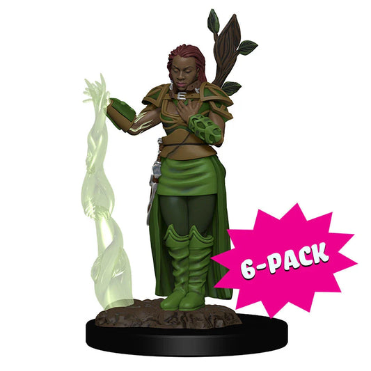 D&D Icons of the Realms: Premium Figures: Human Female Druid (Bundle of 6) (New in Box)
