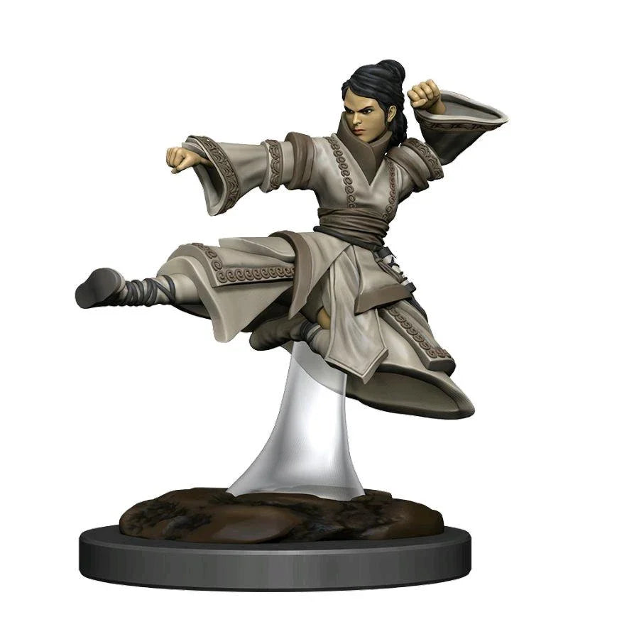 D&D Icons of the Realms: Premium Figures: Human Monk Female (Prepainted)
