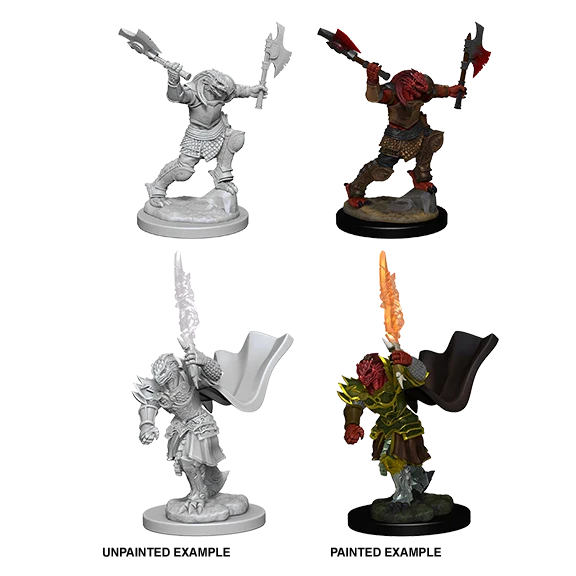 Dragonborn Female Fighter (New in Box)