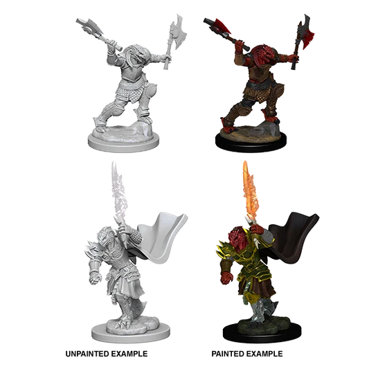 Dragonborn Female Fighter (New in Box)