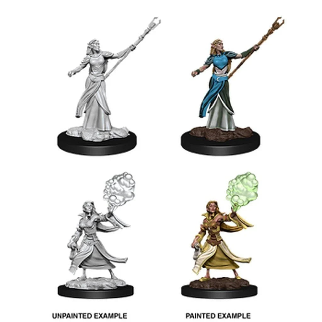 Female Elf Sorcerer (Unpainted)