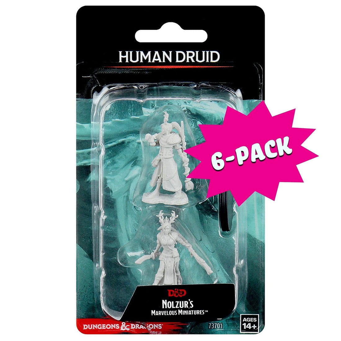 Female Human Druid (Bundle of 6) (Custom Painted)