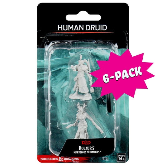 Female Human Druid (Bundle of 6) (Custom Painted)