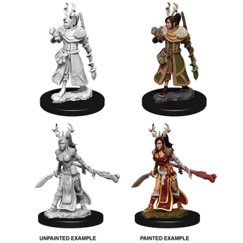 Female Human Druid (New in Box)