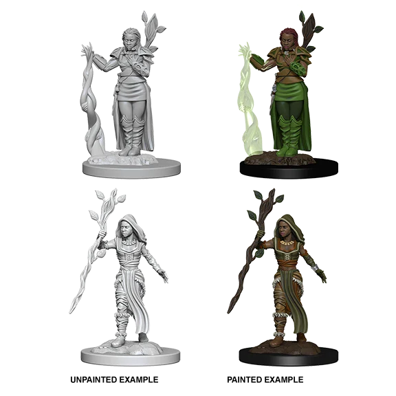 Human Female Druid (New in Box)