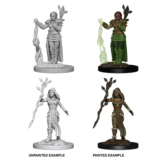 Human Female Druid (Unpainted)